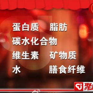 聚健康20150219视频和笔记:人体必需的营养元素有哪些 红肉和白肉的营养价值