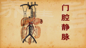 《养生堂》20150227视频:血管疾病的治疗 预防动脉硬化的独门诀窍