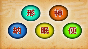 《养生堂》20150304视频和笔记:分清体质好养生 少阳系统失常的表现 厥阴系统病变的症状