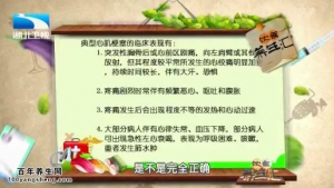 饮食养生汇20150304视频和笔记:脑梗的急救 心梗的临床表现 心梗的急救