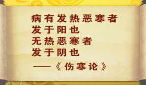 《养生堂》20150305视频和笔记:《分清体质好养生—2》