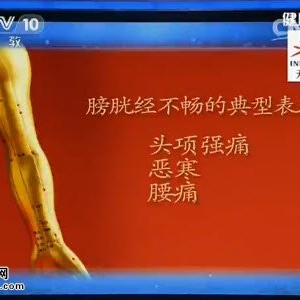 《健康之路》20150306视频和笔记:膀胱经不畅的表现  抻筋壮胆操 抻筋养肾操