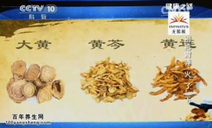 《健康之路》20150315视频和笔记:刮痧泻胃火 扎耳针泻胃火 鸡内金的功效 乌梅荸荠饮等