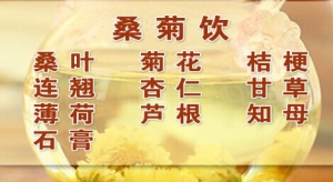 《养生堂》20150320:《春生百病名家说调—1》桑菊饮