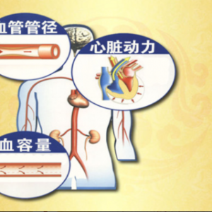 《养生堂》20150324:黄力讲《春生百病名家说调—5》春夏之交如何让血压平稳过渡