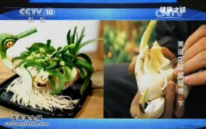 《健康之路》20150325视频和笔记:哪些花草不能碰 孩子误食植物该怎么办