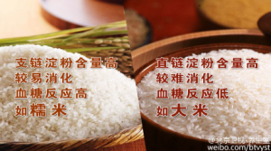 《养生堂》20150329视频和笔记:急性胰腺炎发病原因 粗粮的正确吃法
