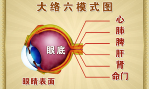 《养生堂》20150331视频笔记:眼睛透露出脏腑的疾病 心气虚的表现 脾气虚的表现