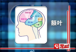 聚健康20150330视频和笔记:《练出最强大脑》认知功能障碍症的表现及预防