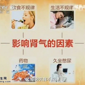 《健康之路》20150403视频笔记: 肾气虚肾阴虚的表现 艾灸补肾气 无比山药丸 哪种参补肾气  ...
