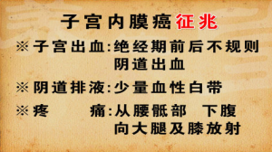 《养生堂》20150408视频笔记:子宫内膜癌的早期表现及预防 女性一生该如何面对雌激素