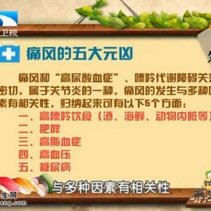 饮食养生汇20150408视频和笔记:痛风的原因 痛风的高危人群 痛风患者的饮食禁忌