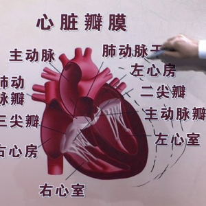 《养生堂》20150409视频笔记:心脏结构改变会对心脏造成哪些伤害 心脏支架 心脏搭桥