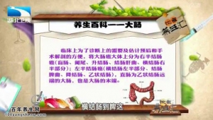 饮食养生汇20150409视频和笔记:大肠癌的早期症状 大肠癌的高危因素 直肠肿瘤的预防