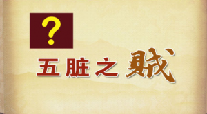 《养生堂》20150411视频笔记:五脏之贼与脾胃的关系 梅花的功效