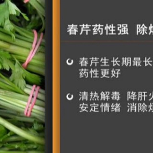 家政女皇20150410视频和笔记:芹菜的养生功效 芹菜的营养价值