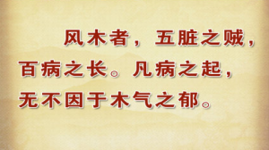 《养生堂》20150412视频笔记:肝气郁结的危害 肝与肾引起腰疼的区分 芍药甘草汤的适应症
