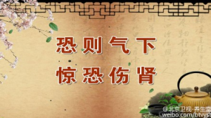 《养生堂》20150414视频笔记:肾气虚的表现 肾阴虚和肾阳虚的区别 补肾的食材