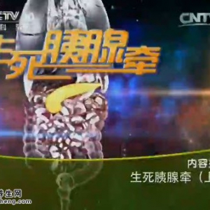 《健康之路》20150416视频笔记:急性胰腺炎的表现 诱发急性胰腺炎的行为 胰腺炎的手术治疗