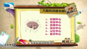 饮食养生汇20150416视频和笔记:癫痫对大脑的损害 癫痫的预防