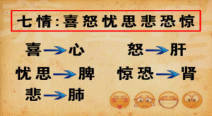 《养生堂》20150417视频笔记:肝郁的常见症状 焦虑对五脏的影响 三香玫瑰鸡