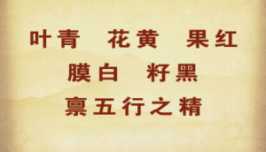 《养生堂》20150425视频和笔记:调料妙用大揭秘 消食化瘀方