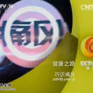 《健康之路》20150428视频笔记:痛风的表现 痛风的原因及危害 高尿酸血症的原因