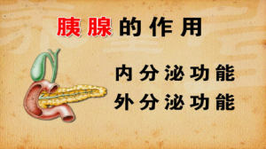 《养生堂》20150429视频和笔记:如何避免吃进去的癌症 急性胰腺炎 胰腺癌早期症状