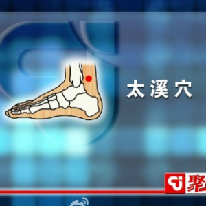 聚健康20150508视频和笔记:付国兵讲《“拿捏”健康生活-5》养肾护肾的秘籍