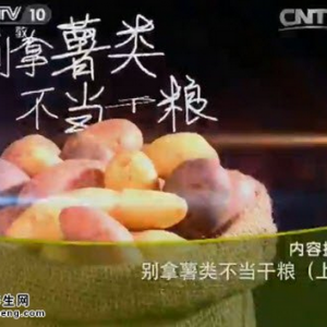《健康之路》20150509视频笔记:土豆当主食的好处 控糖美食土豆饸饹面 土豆减肥