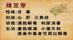 《养生堂》20150513视频笔记:黄豆芽鲫鱼汤 豆芽的功效 黄豆芽猪骨汤