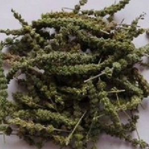 荆芥穗的养生功效与药理作用