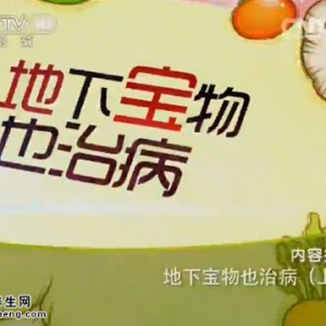 《健康之路》20150518视频和笔记:土豆的功效 芋头的功效 魔芋的功效 百合的功效