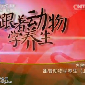 《健康之路》20150520视频和笔记:巧学腹式呼吸保健康 学虎扑缓解腰背酸痛