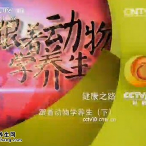 《健康之路》20150521视频和笔记:脚跟衰老的判别 学鹿的动作补肾强腰、缓解怕冷