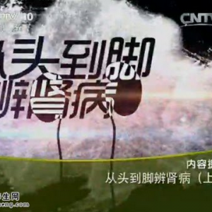 《健康之路》20150522视频和笔记:从头到脚辩肾病(上) 肾病的表现 补肾气的药物有哪些