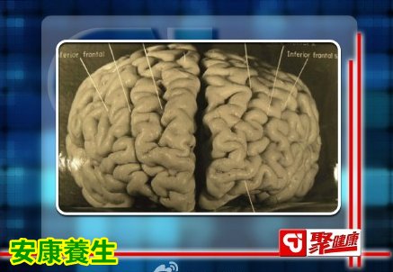 聚健康20150522视频和笔记:刘元波讲《吃出最强大脑》