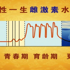 《养生堂》20150530视频笔记:孙爱军讲《让卵巢平安退休》女性补充雌激素