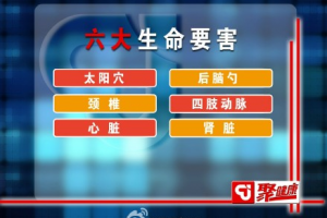 聚健康20150608视频和笔记:《速度与急情》急性脑血管病的家庭急救