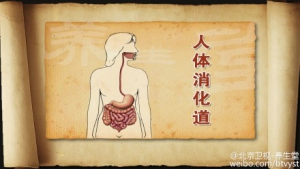 《养生堂》20150615视频和笔记:胃食管反流的症状 胃食管反流病的预防