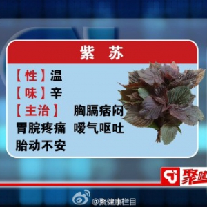 甘肃卫视聚健康2015年6月16日：《医圣仲景食疗方1》咽炎的症状及原因 如何缓解咽炎