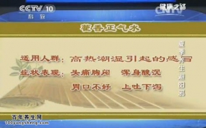 《健康之路》20150619笔记:王氏清心饮 中暑的紧急处理 去火美食酿黄瓜配丝瓜