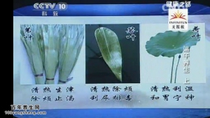 《健康之路》20150620笔记:端午养生（上）粽叶的功效 端午吃粽子有什么好处