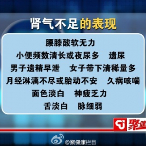聚健康2015年6月22日：贾海忠讲《医圣仲景食疗方5》肾气不足的表现及调理