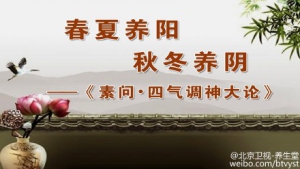 《养生堂》20150624视频笔记:真寒假热证 阳虚阴虚的表现 肉苁蓉粥