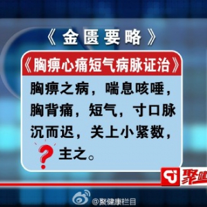 聚健康2015年6月26日：贾海忠讲《医圣仲景食疗方9》冠心食疗妙方