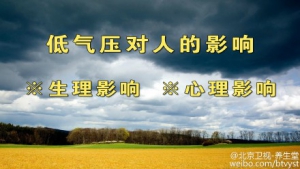 《养生堂》20150724视频笔记:王玉光讲《祛暑过伏天-2》暑邪的症状 香薷饮 调和肠胃的茶饮  ...