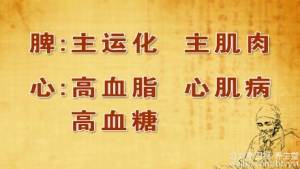《养生堂》20150730视频笔记:《养好“母子” 巧护心脉-补心脾》养心安神饮 养心汤