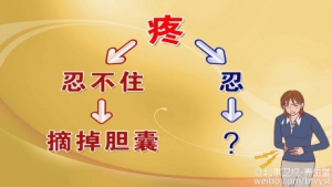 《养生堂》20150801视频笔记:《游走的小石头》胆结石的类型及治疗
