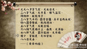 《养生堂》20150813视频笔记:沈宁讲肾亏的的调理及补肾的误区 调肾汤